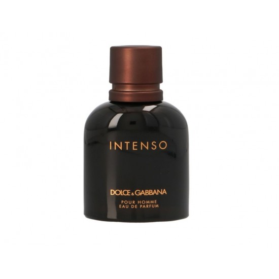 dolce gabbana intenso parfum